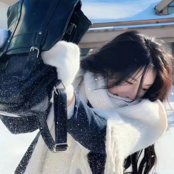 局内者们